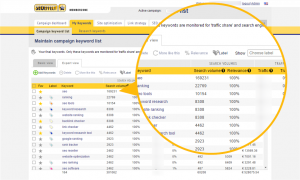 SEO Effect keyword research search volumes